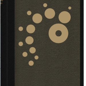 Stolen Skies by Tim Powers (lettered edition)